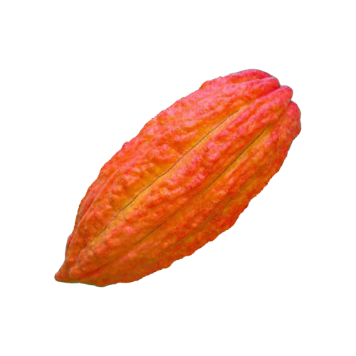 4.png__PID:3dc6960f-1745-43d8-8c1d-26ab80fbc230
