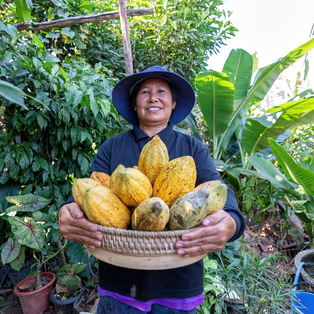 PERU COCAO.jpg__PID:331ab8b5-5e6c-4713-9210-aabf258f488f