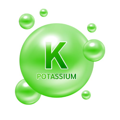Potassium.png__PID:85931ac0-ca6f-4f63-b6b3-6ea64218afc0