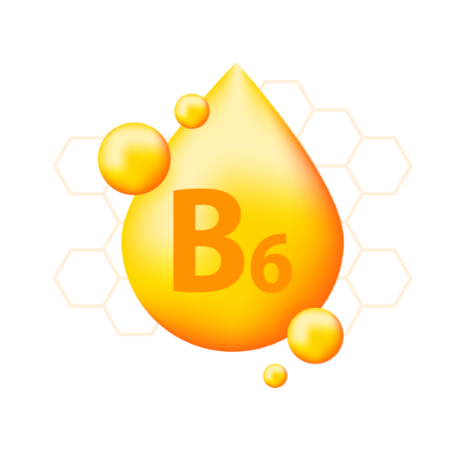 b6.png__PID:931ac0ca-6f1f-43b6-b36e-a64218afc03a