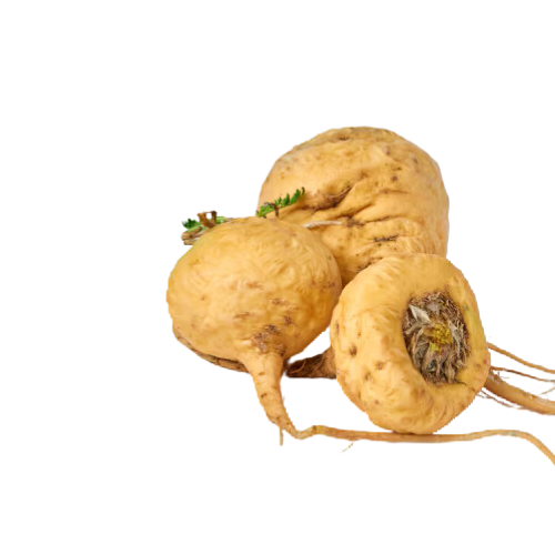 maca root.png__PID:659dd479-efc8-4fcf-a227-ebbb5de3eb69